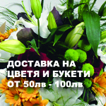 �������� �� ������  50-100��. :: �������� �� ����� �� ������ ������� ELF GARDEN. ������� � �������� �� �����, �������� � ��������� ������, ����������� ��� �����, ���� � ���������� �����, ��������� �������� �������� � ������� � ����� �� ����������� �� �����