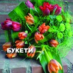 �������� �� ����� �� ����� �������� �� ����� �� ������ ������� ELF GARDEN. ������� � �������� �� �����, �������� � ��������� ������, ����������� ��� �����, ���� � ���������� �����, ��������� �������� �������� � ������� � ����� �� ����������� �� �����