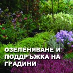 ����������� �������� �� ����� �� ������ ������� ELF GARDEN. ������� � �������� �� �����, �������� � ��������� ������, ����������� ��� �����, ���� � ���������� �����, ��������� �������� �������� � ������� � ����� �� ����������� �� �����