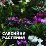 �������� �������� �������� �� ����� �� ������ ������� ELF GARDEN. ������� � �������� �� �����, �������� � ��������� ������, ����������� ��� �����, ���� � ���������� �����, ��������� �������� �������� � ������� � ����� �� ����������� �� �����